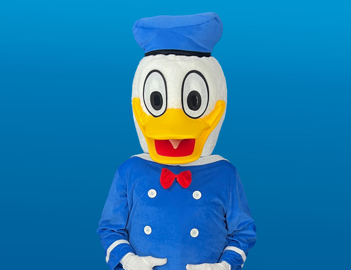 Donald Duck Og Daisy Duck Kostymer