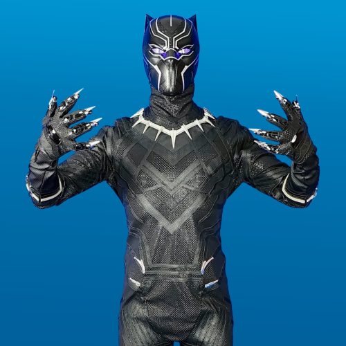 Black Panther Premium blue background | Rent Party Characters