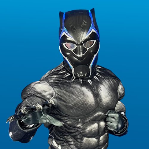 Black Panther featured image | Rent Party Characters