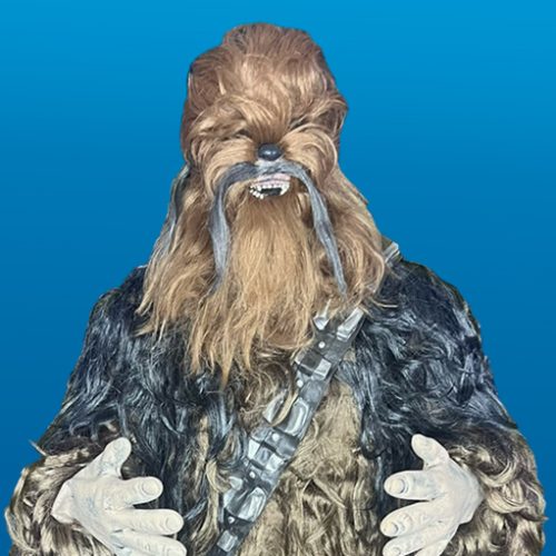 Chewbacca featured image | Rent Party Characters
