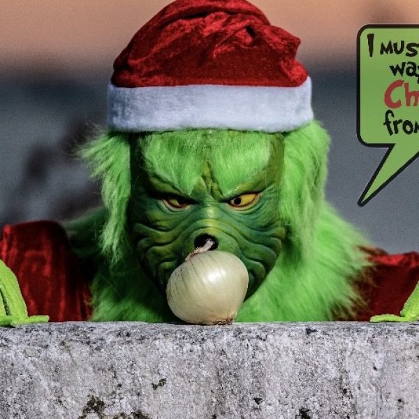 Grinch steals all of Christmas