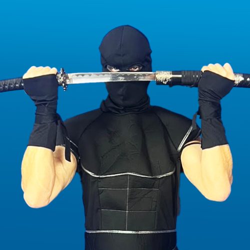 Ninja featured image | Rent Party Characters